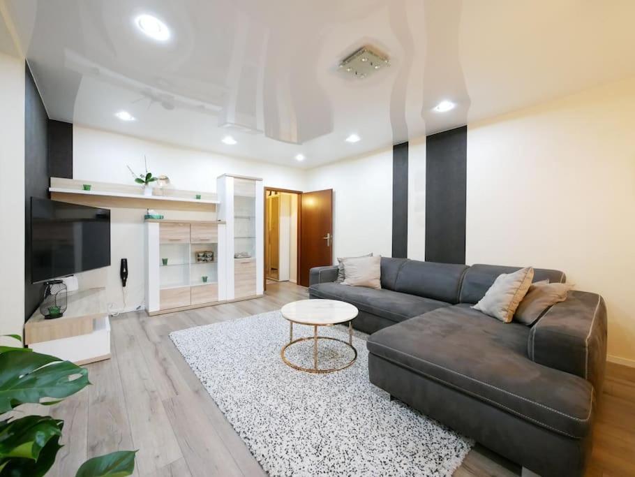 Osnabrück 61 M2 Erdgeschosswohnung Mit Eigenem Parkplatz Vorm Haus מראה חיצוני תמונה